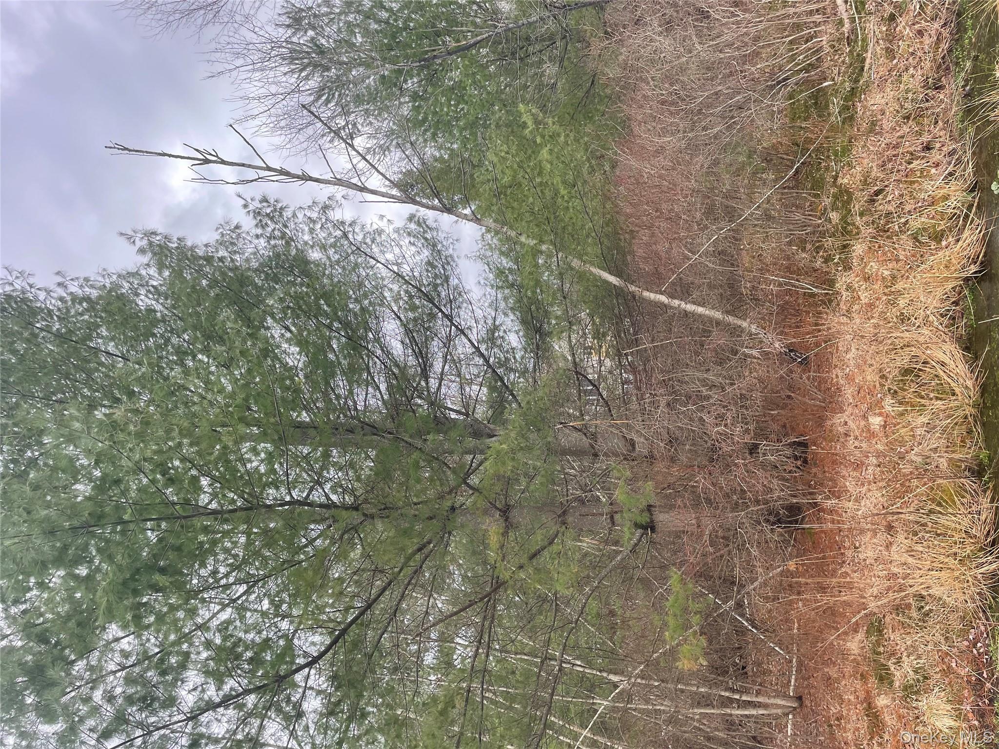 #10 photo, 39 Birch Lane, Swan Lake , NY 12783