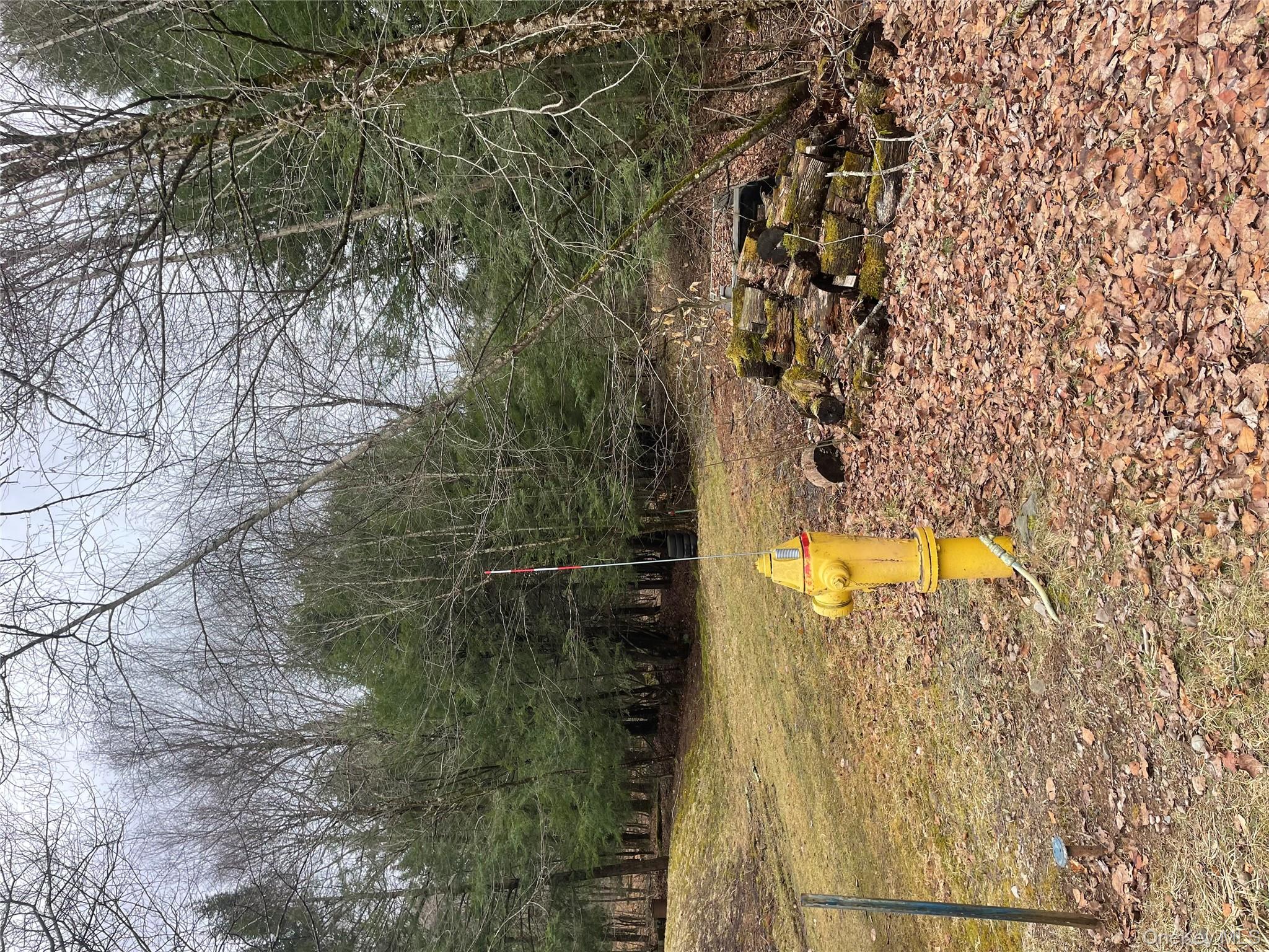 #11 photo, 39 Birch Lane, Swan Lake , NY 12783