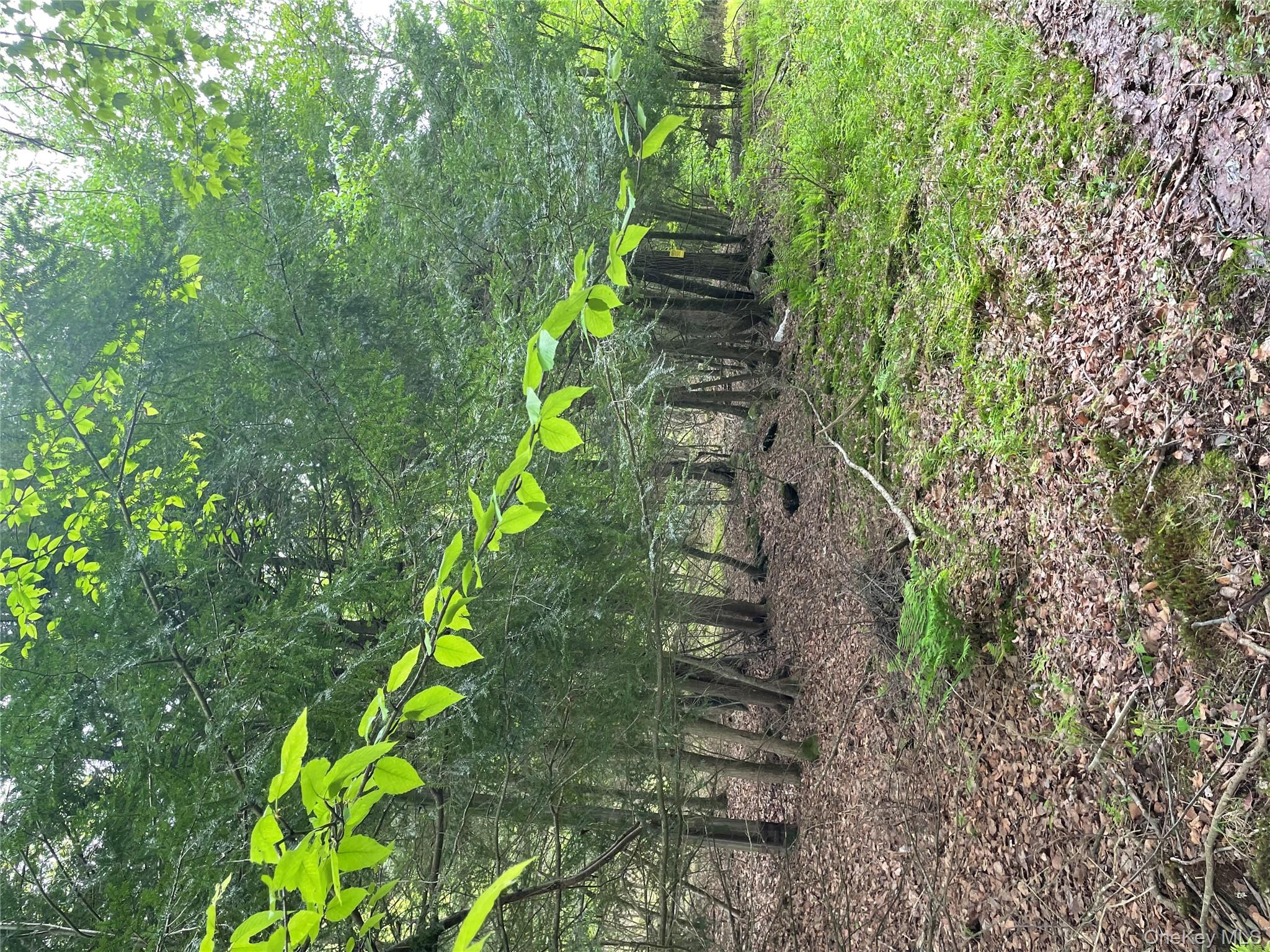 #12 photo, 39 Birch Lane, Swan Lake , NY 12783