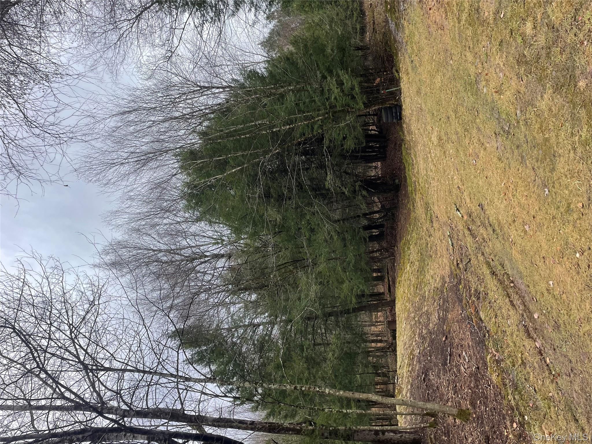 #13 photo, 39 Birch Lane, Swan Lake , NY 12783