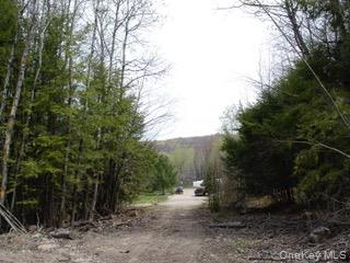 #16 photo, 39 Birch Lane, Swan Lake , NY 12783