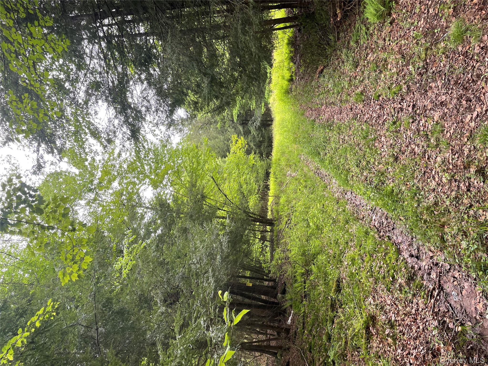 #19 photo, 39 Birch Lane, Swan Lake , NY 12783