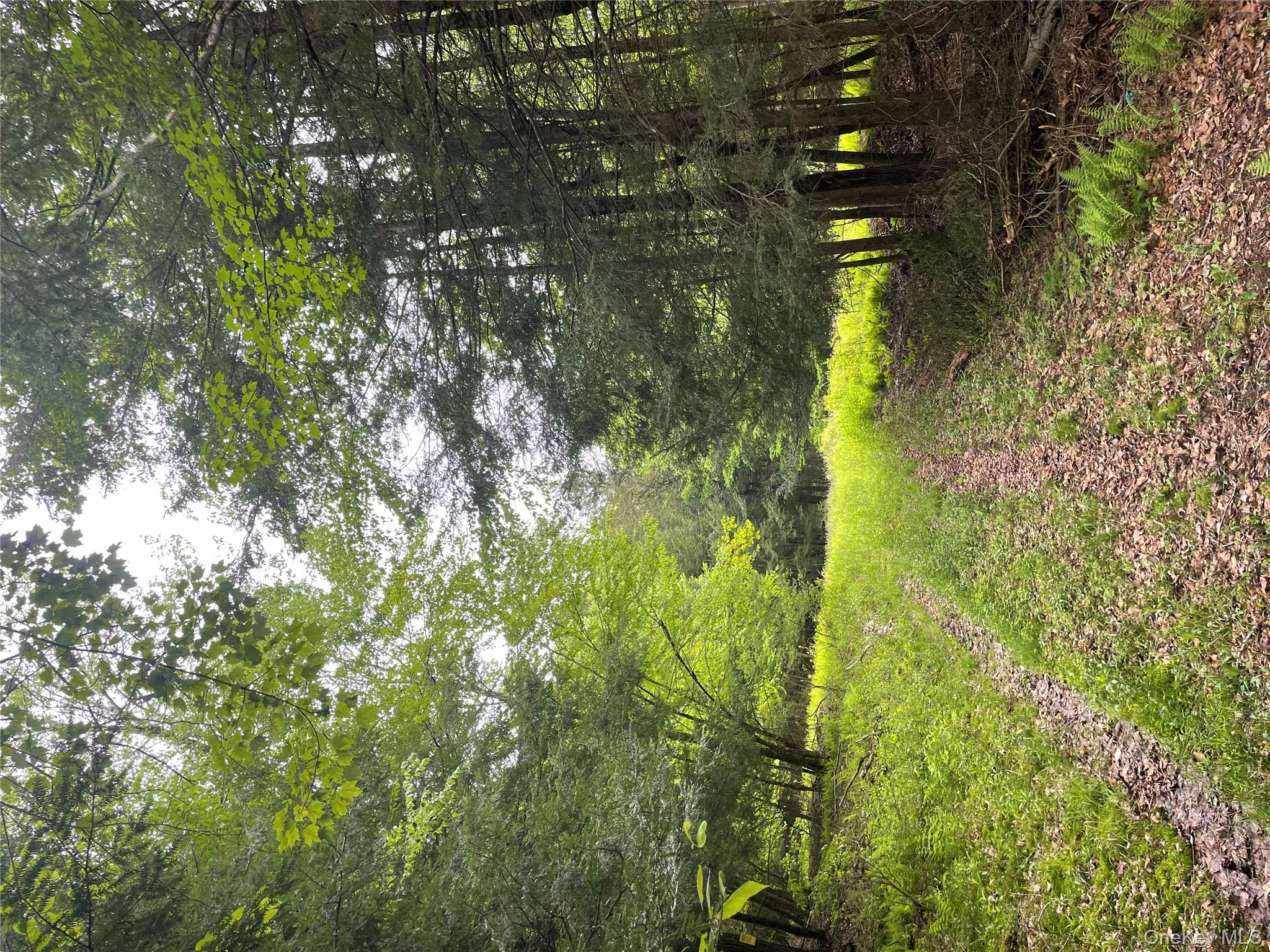 #20 photo, 39 Birch Lane, Swan Lake , NY 12783