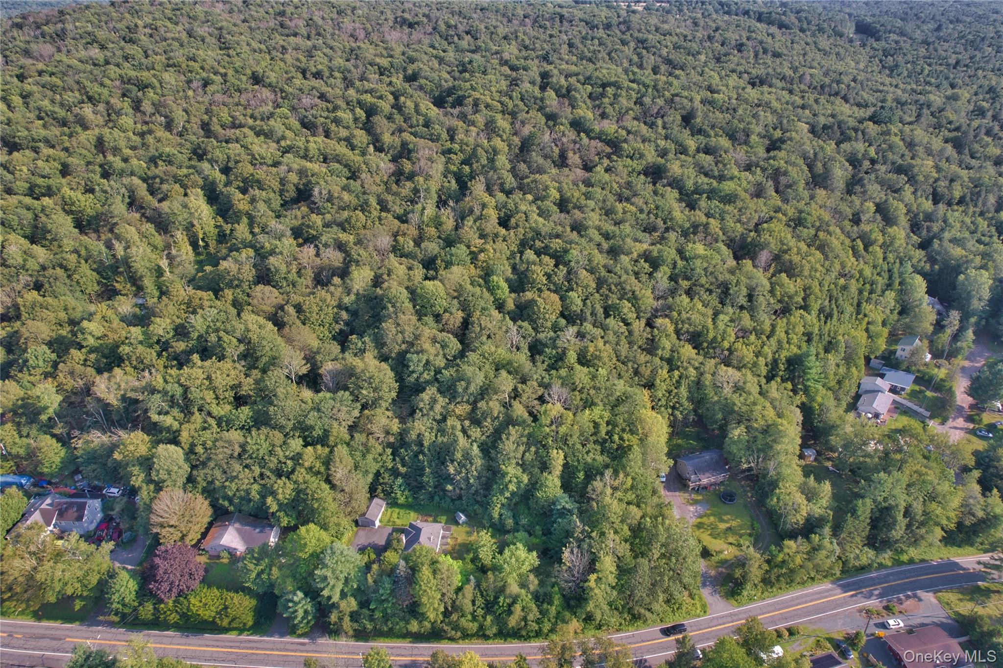 #3 photo, 39 Birch Lane, Swan Lake , NY 12783