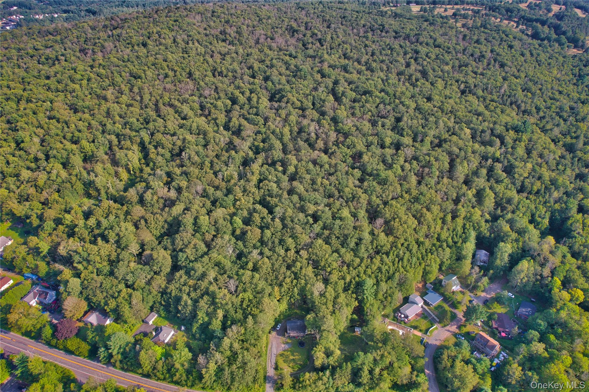 #4 photo, 39 Birch Lane, Swan Lake , NY 12783