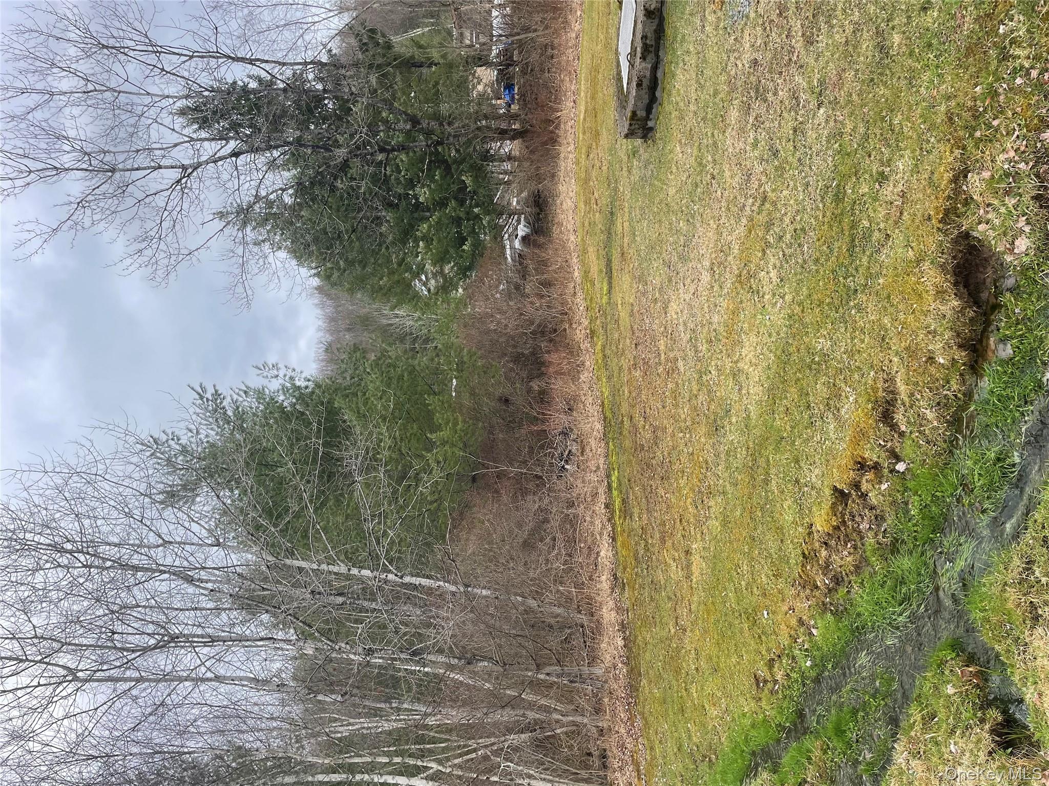 #5 photo, 39 Birch Lane, Swan Lake , NY 12783