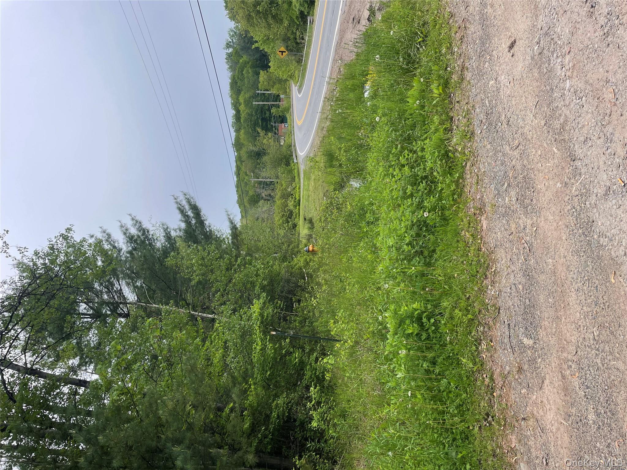 #6 photo, 39 Birch Lane, Swan Lake , NY 12783