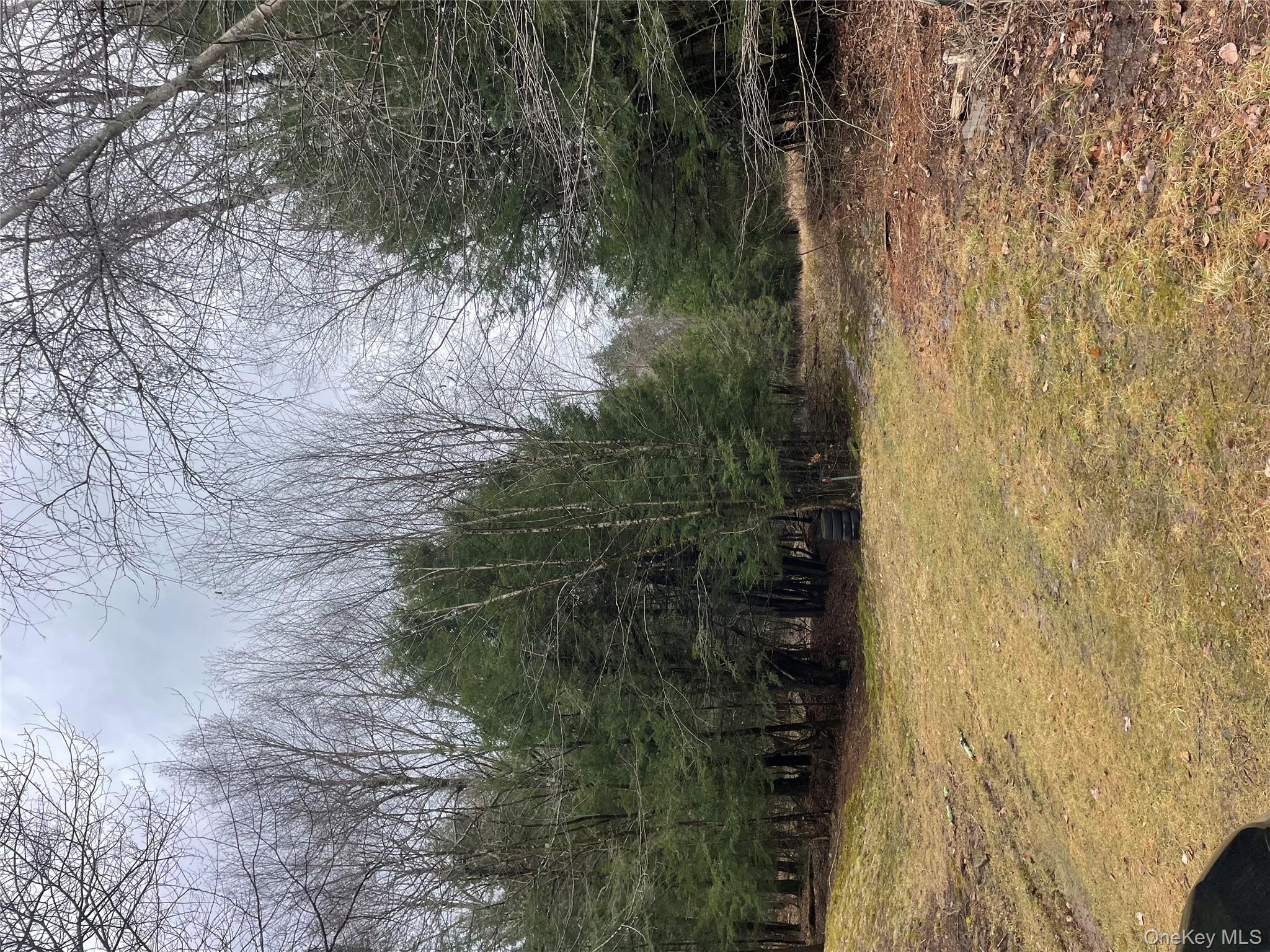 #7 photo, 39 Birch Lane, Swan Lake , NY 12783