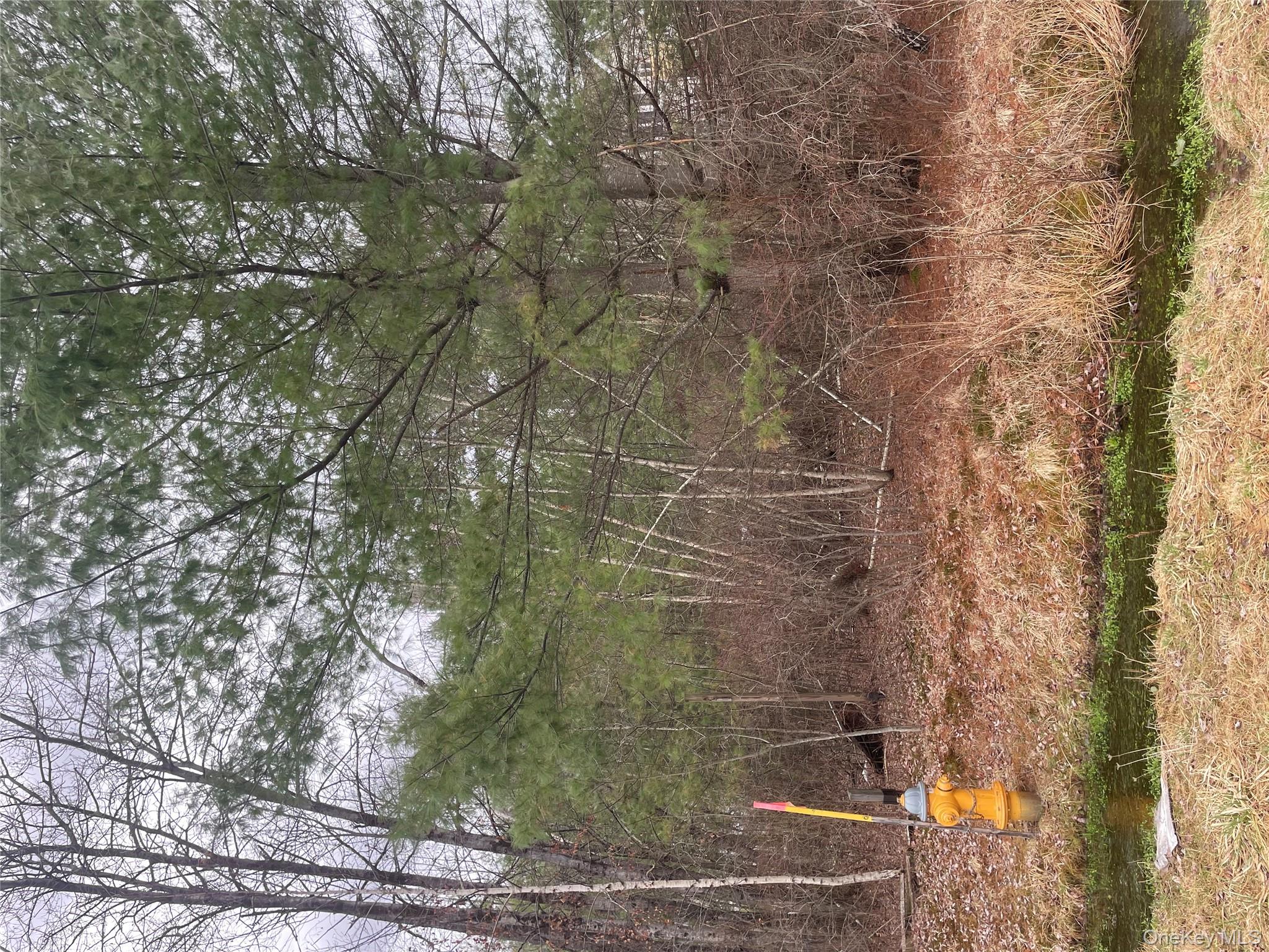 #9 photo, 39 Birch Lane, Swan Lake , NY 12783