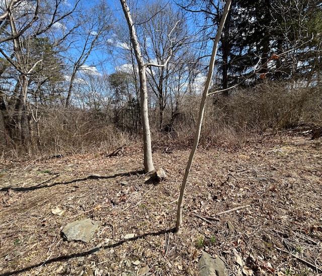 #11 photo, Pressler Road, Wallkill , NY 12589