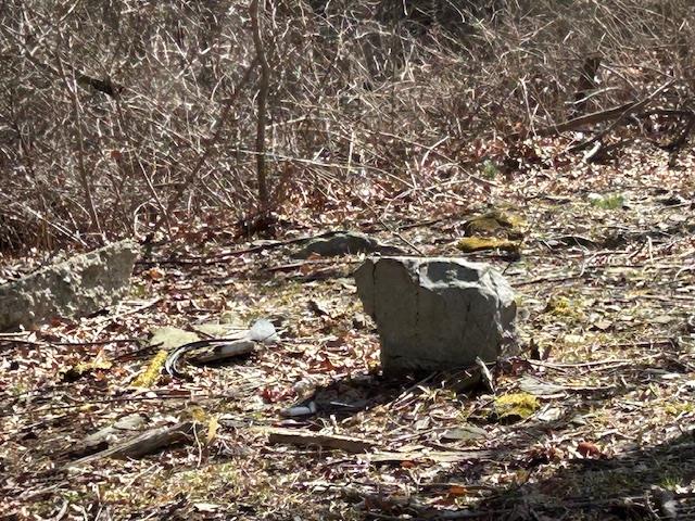 #12 photo, Pressler Road, Wallkill , NY 12589