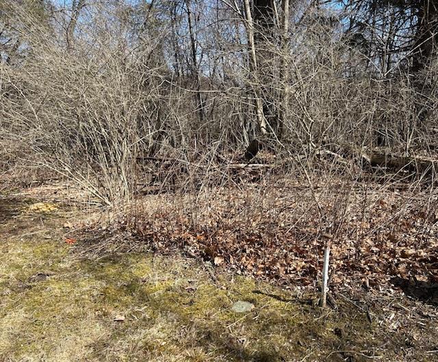 #13 photo, Pressler Road, Wallkill , NY 12589