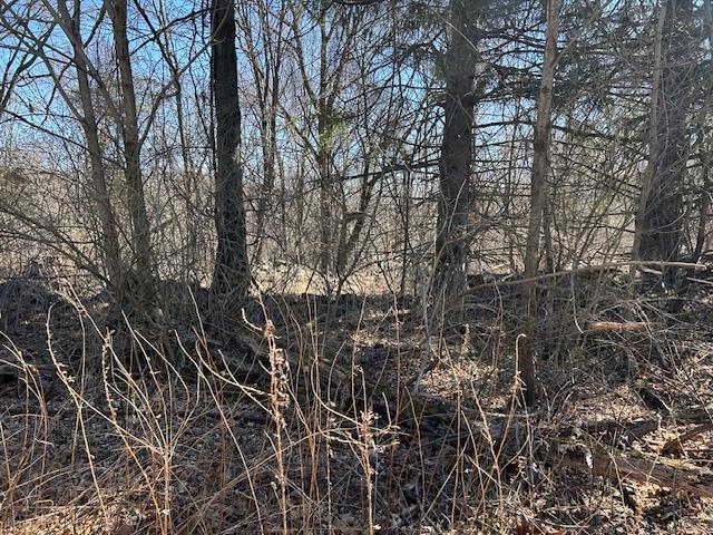 #14 photo, Pressler Road, Wallkill , NY 12589