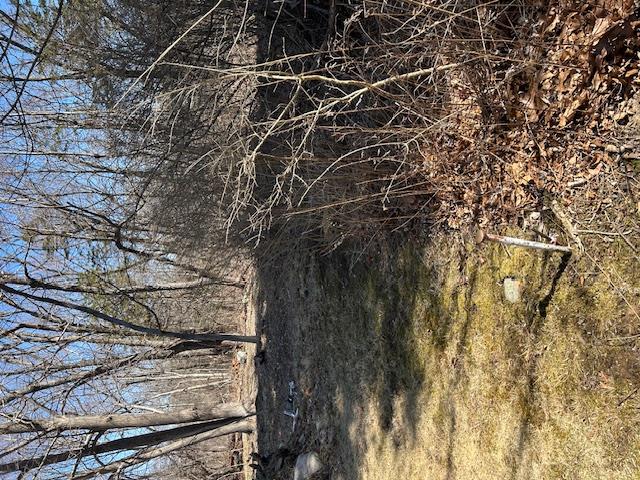 #4 photo, Pressler Road, Wallkill , NY 12589