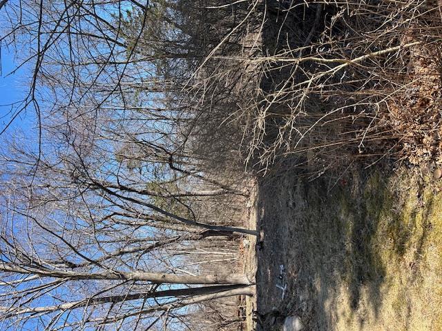 #5 photo, Pressler Road, Wallkill , NY 12589