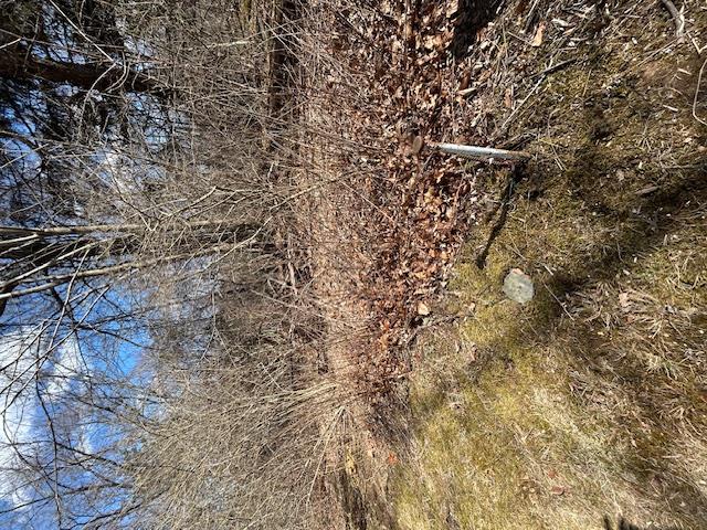 #6 photo, Pressler Road, Wallkill , NY 12589