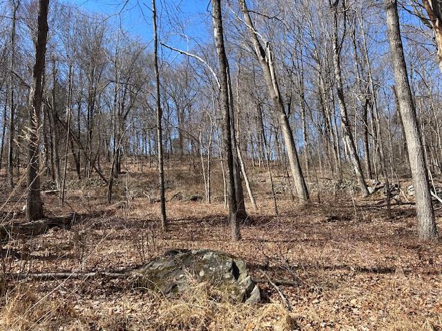 #12 photo, Es Pressler Road, Newburgh , NY 12550