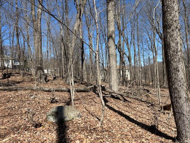 #13 photo, Es Pressler Road, Newburgh , NY 12550