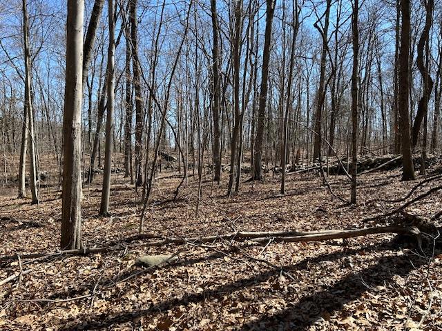 #18 photo, Es Pressler Road, Newburgh , NY 12550