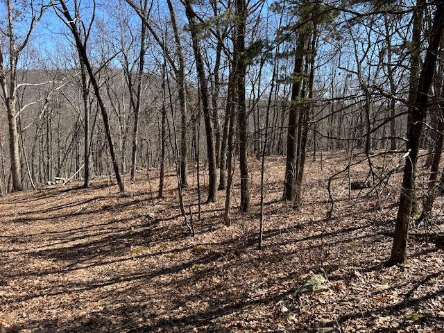 #19 photo, Es Pressler Road, Newburgh , NY 12550