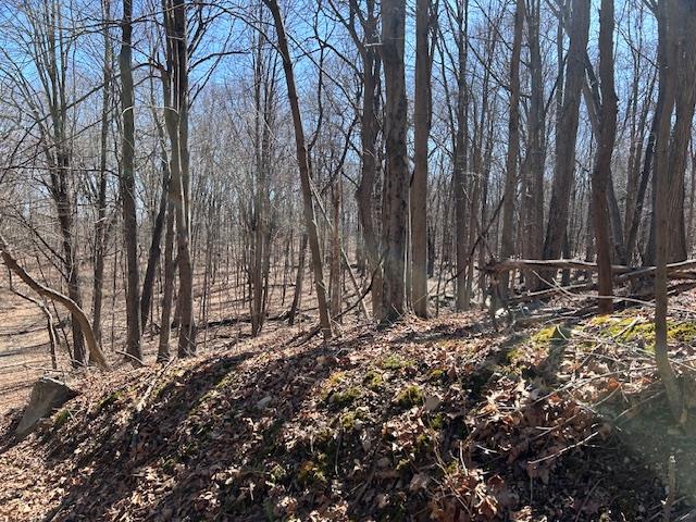 #5 photo, Es Pressler Road, Newburgh , NY 12550