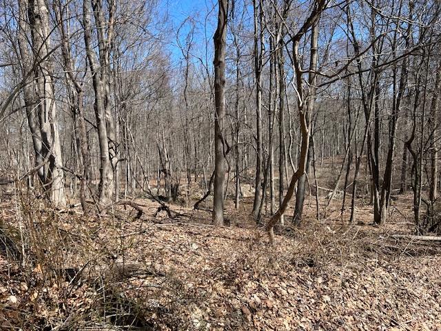 #7 photo, Es Pressler Road, Newburgh , NY 12550