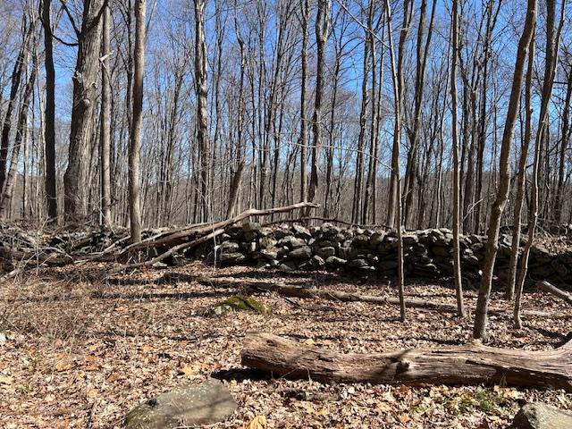 #8 photo, Es Pressler Road, Newburgh , NY 12550