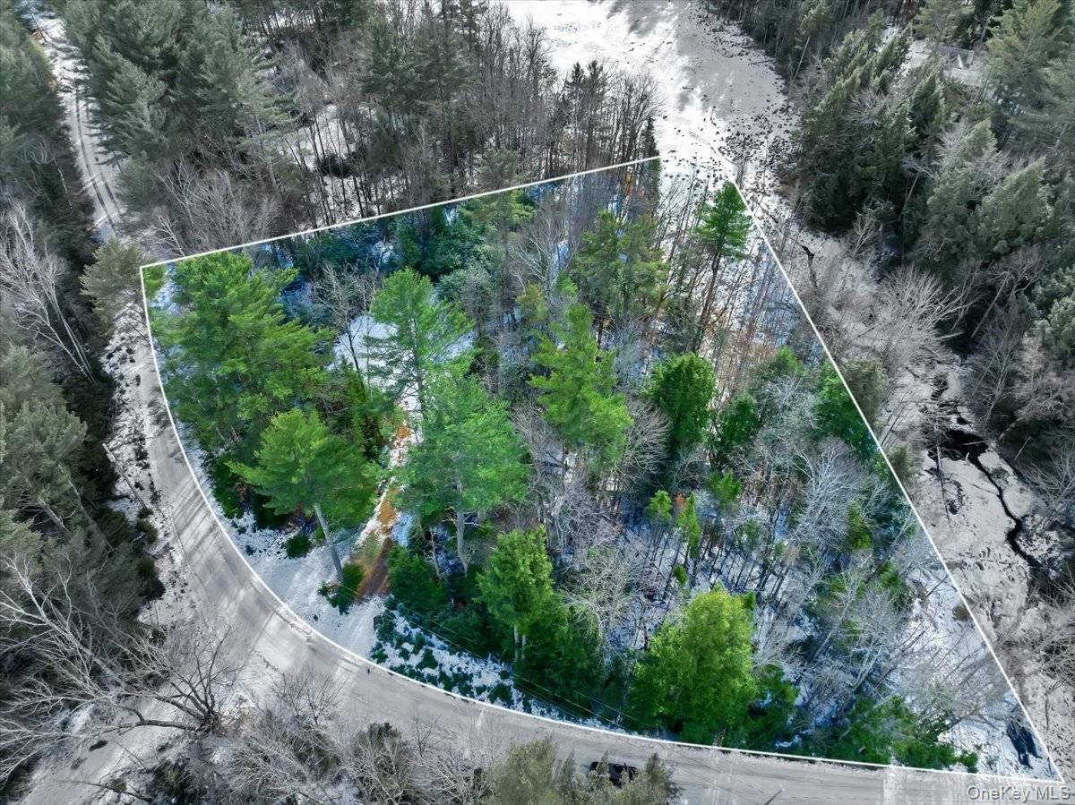 #10 photo, 321 Antler Lake Road, Call Listing Agent , NY 12886