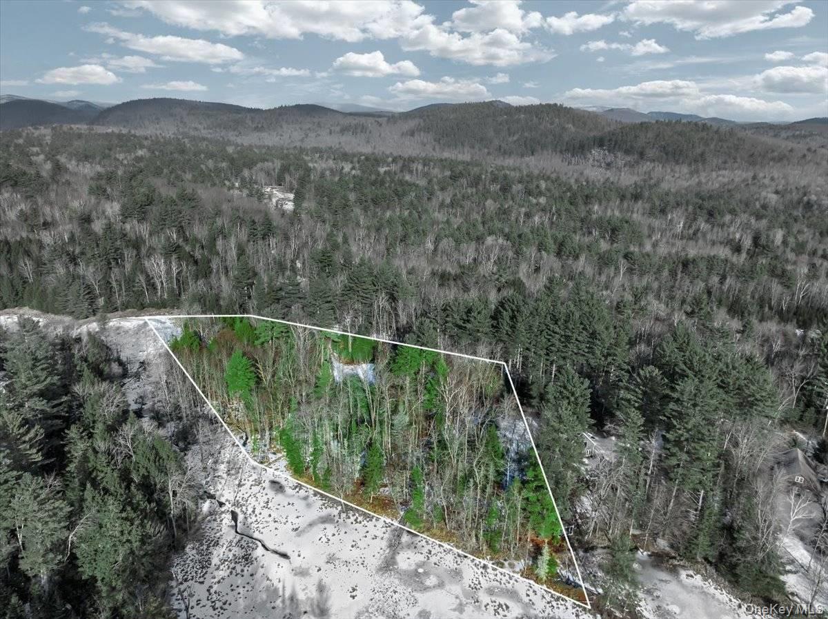 #17 photo, 321 Antler Lake Road, Call Listing Agent , NY 12886