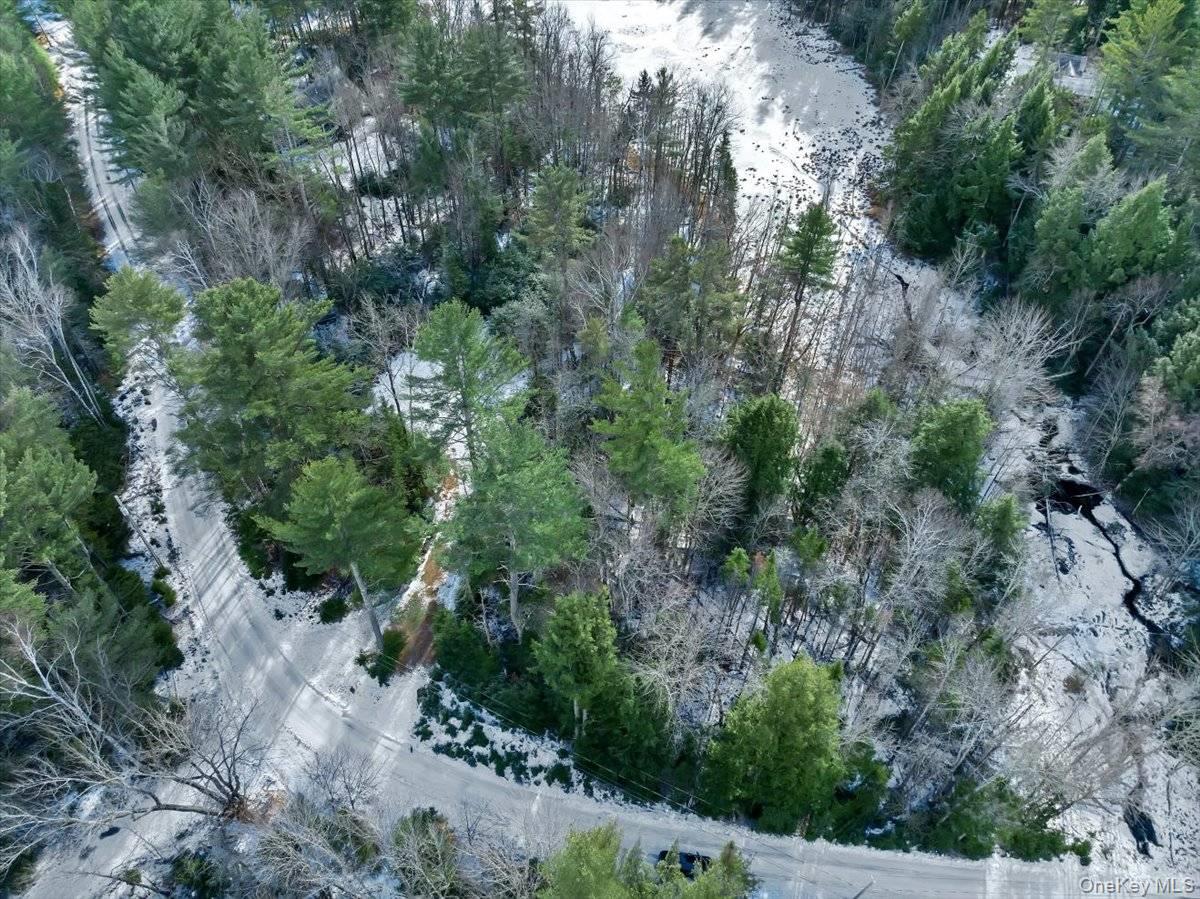 #19 photo, 321 Antler Lake Road, Call Listing Agent , NY 12886