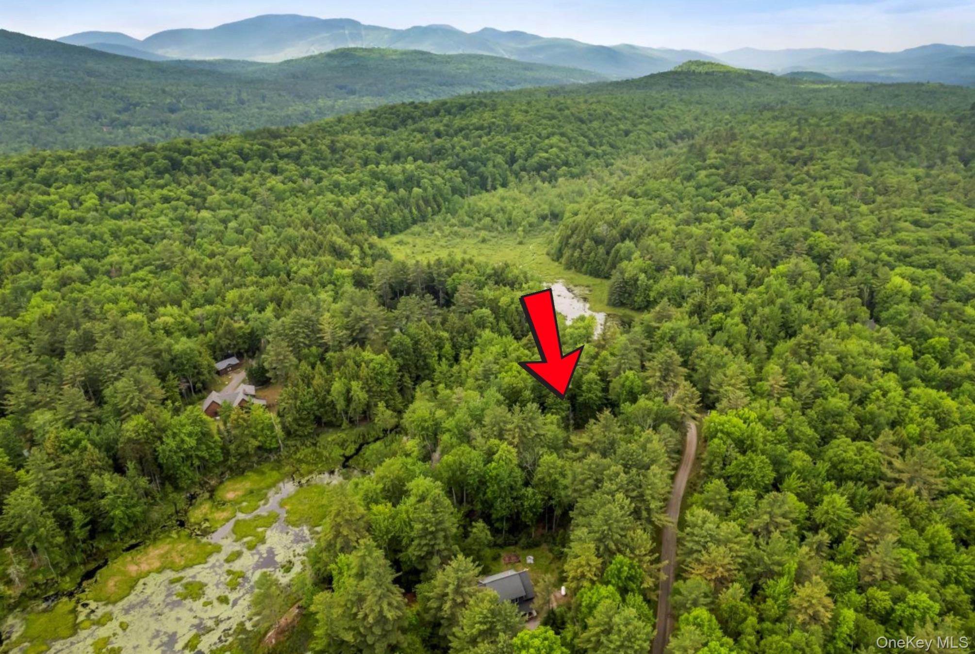 #2 photo, 321 Antler Lake Road, Call Listing Agent , NY 12886