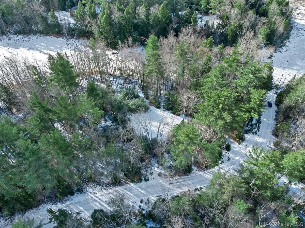 #20 photo, 321 Antler Lake Road, Call Listing Agent , NY 12886