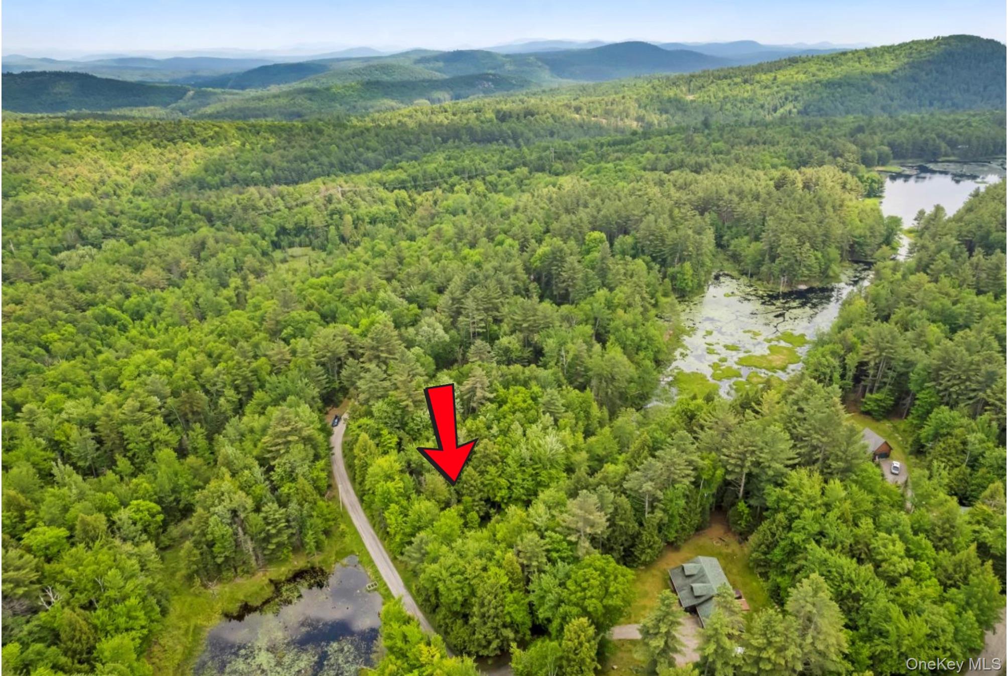 #3 photo, 321 Antler Lake Road, Call Listing Agent , NY 12886