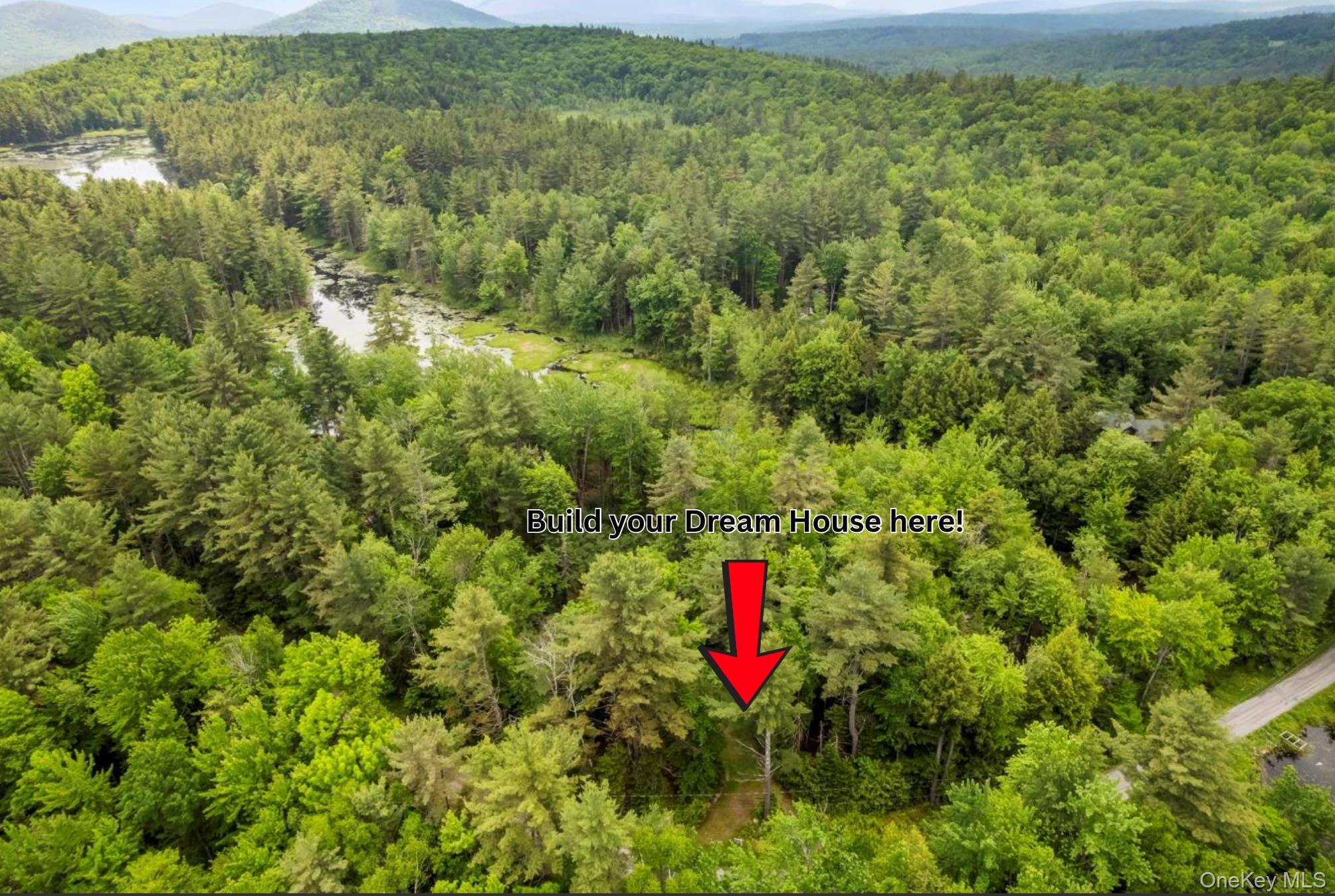 #5 photo, 321 Antler Lake Road, Call Listing Agent , NY 12886