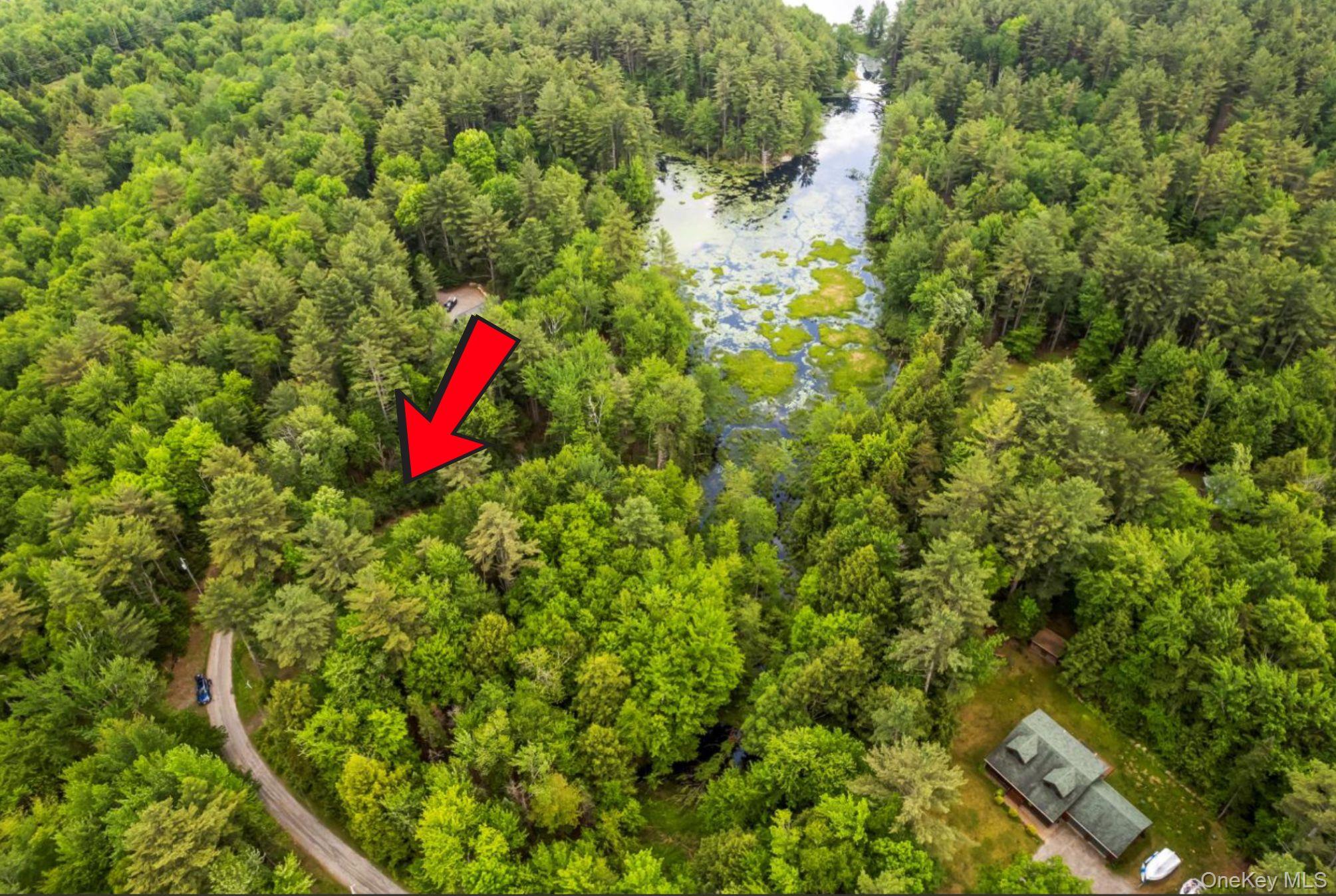 #6 photo, 321 Antler Lake Road, Call Listing Agent , NY 12886