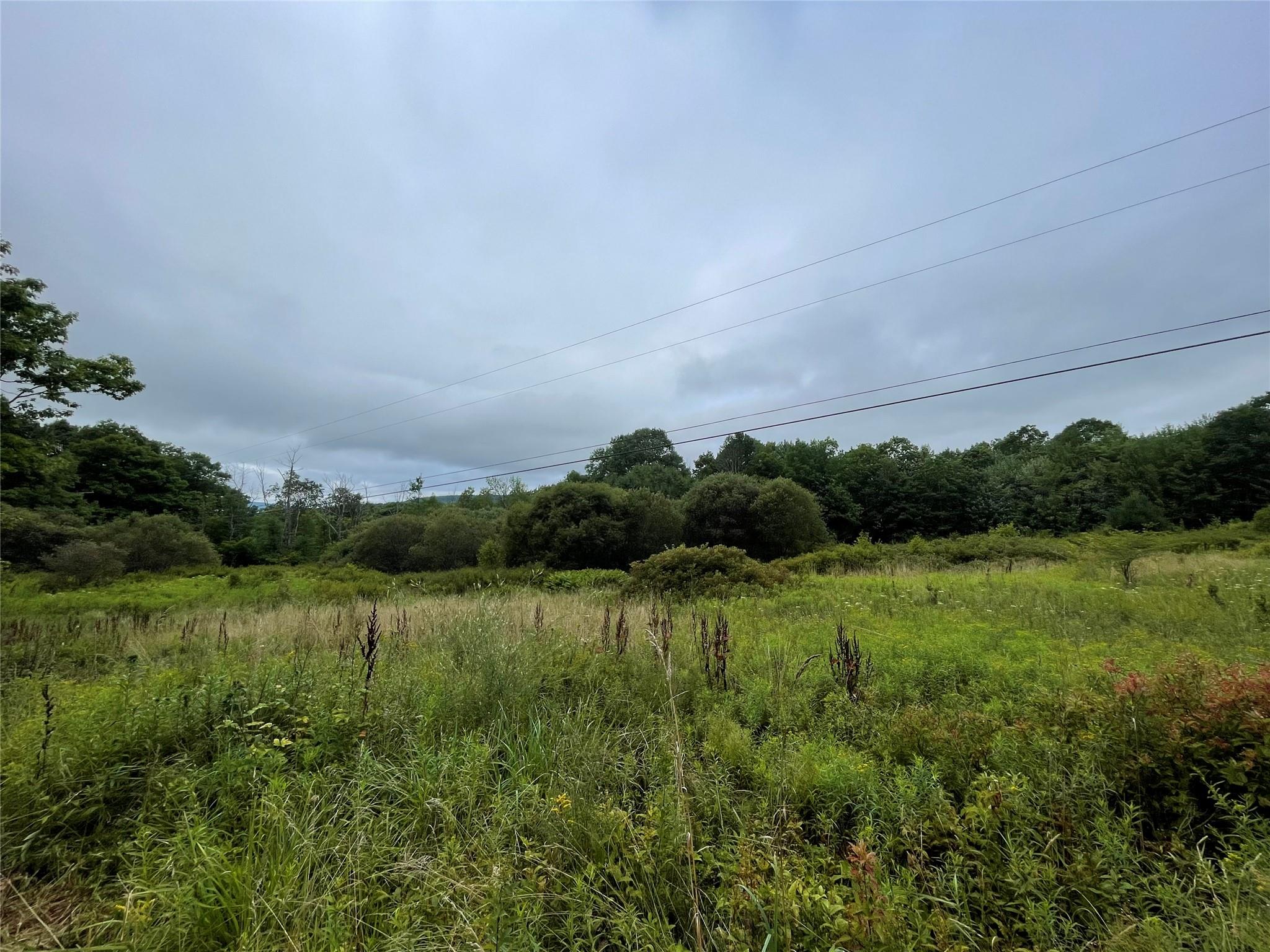 #4 photo, Basil Todd Road, Fleischmanns , NY 12430