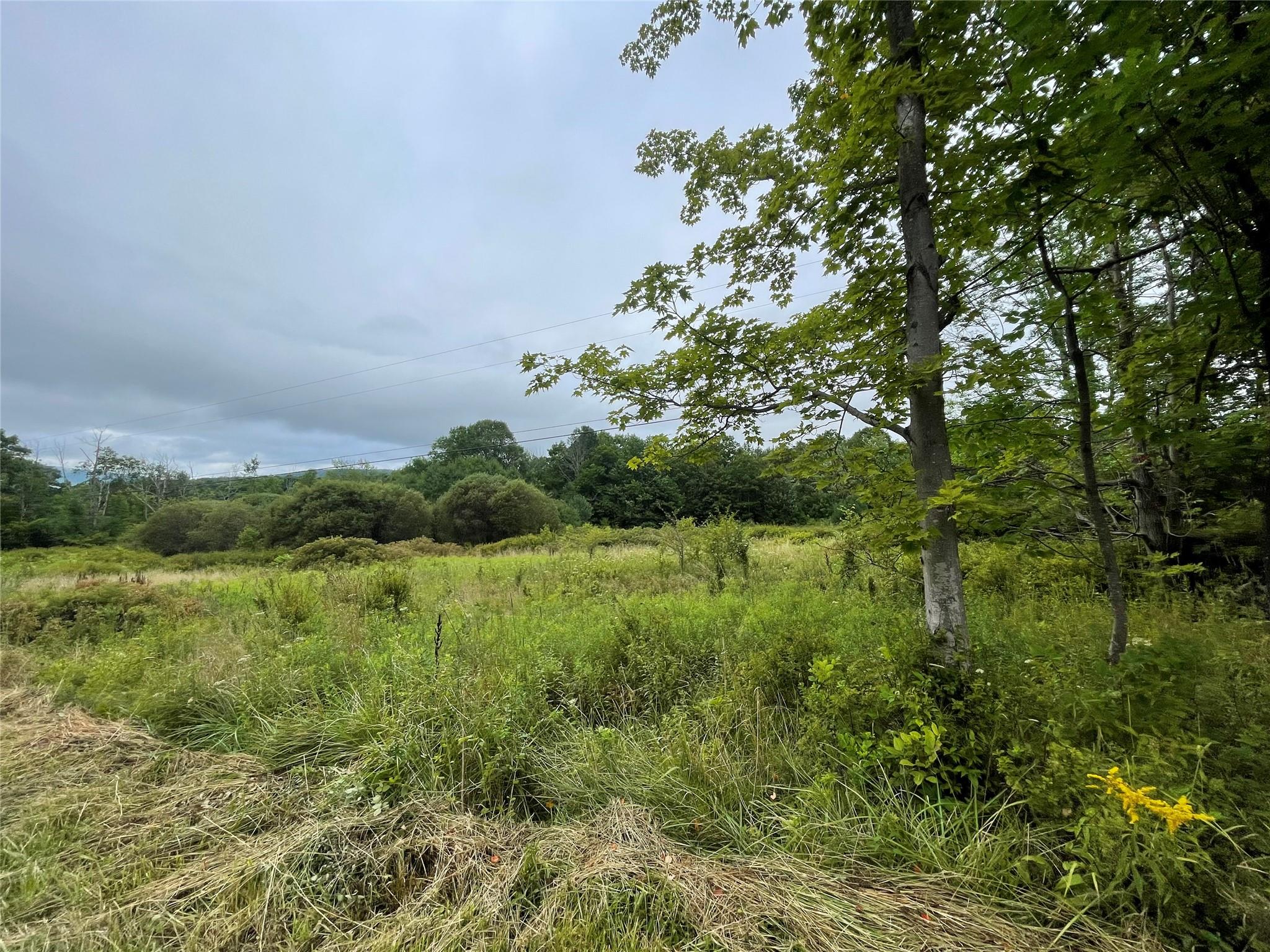 #5 photo, Basil Todd Road, Fleischmanns , NY 12430