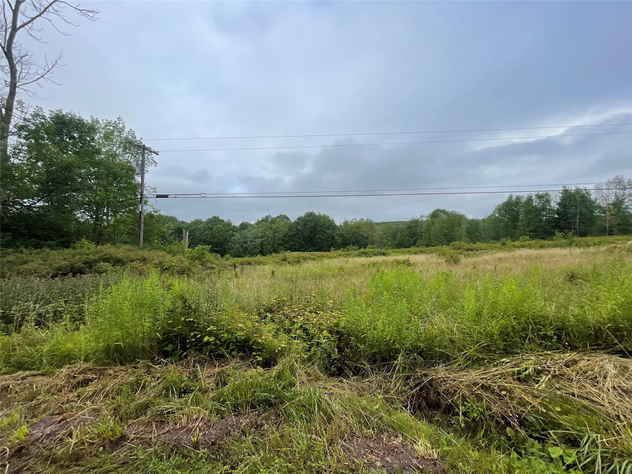 #6 photo, Basil Todd Road, Fleischmanns , NY 12430