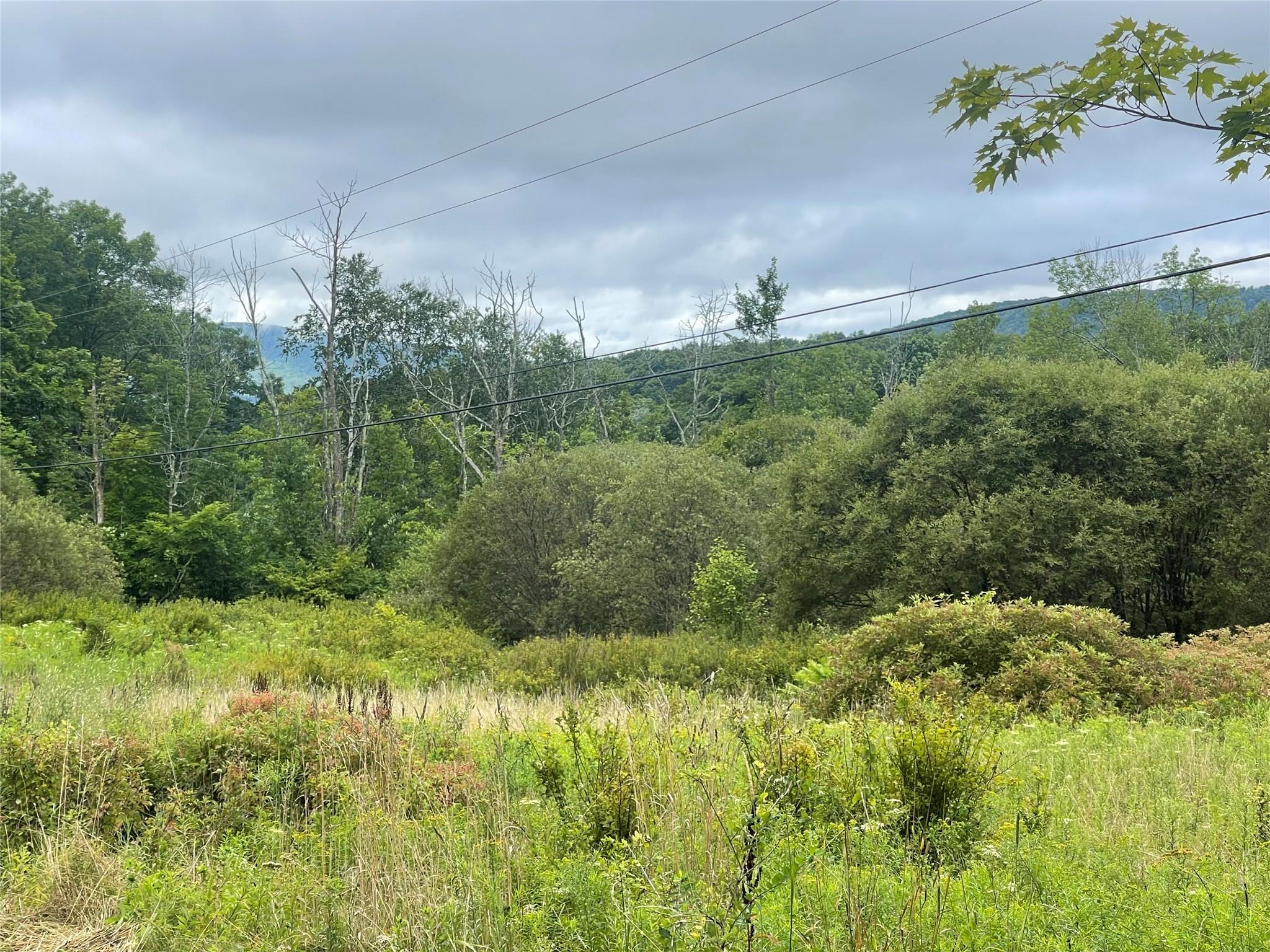 #8 photo, Basil Todd Road, Fleischmanns , NY 12430