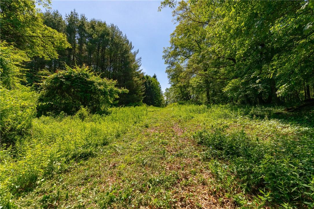 #3 photo, Northrup Northrup Road, Dover Plains , NY 12522