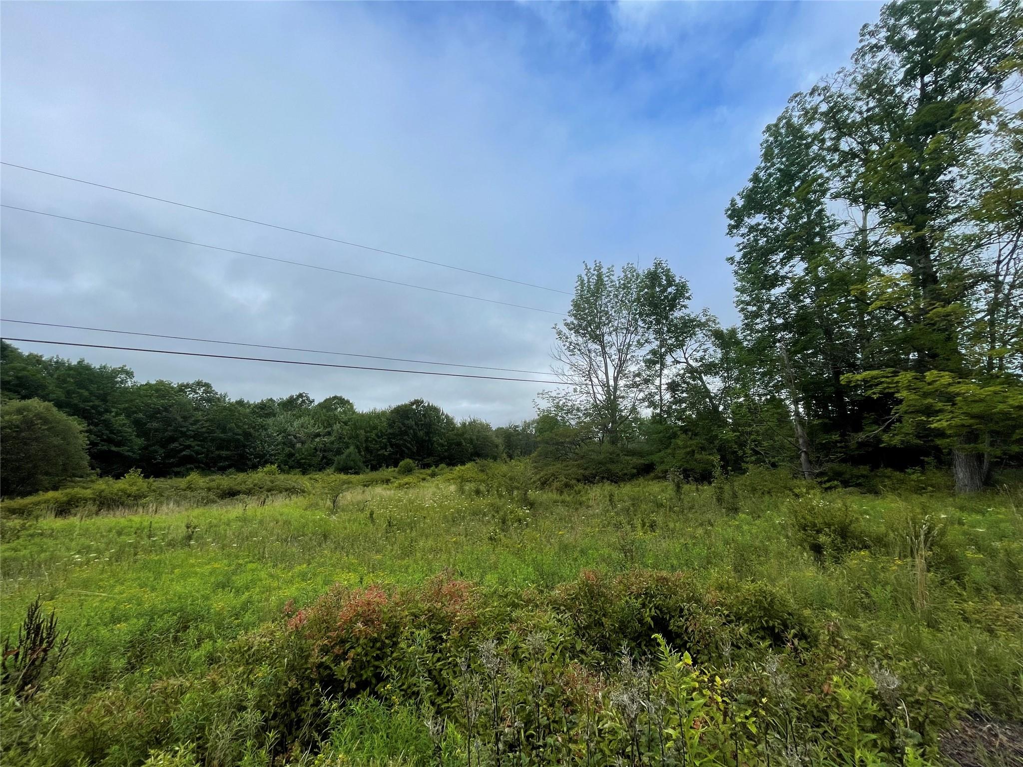 #2 photo, Basil Todd Road, Fleischmanns , NY 12430