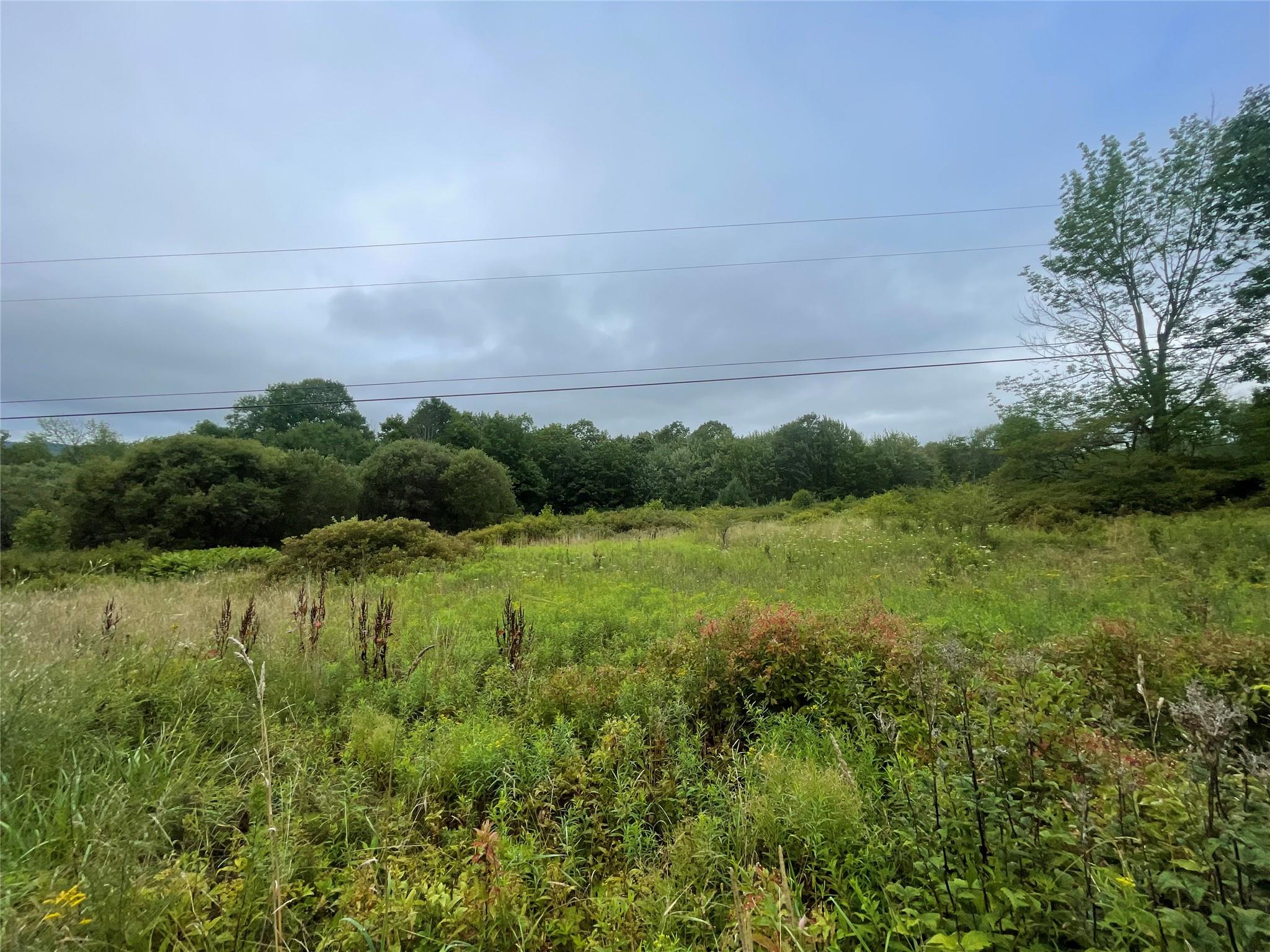 #3 photo, Basil Todd Road, Fleischmanns , NY 12430