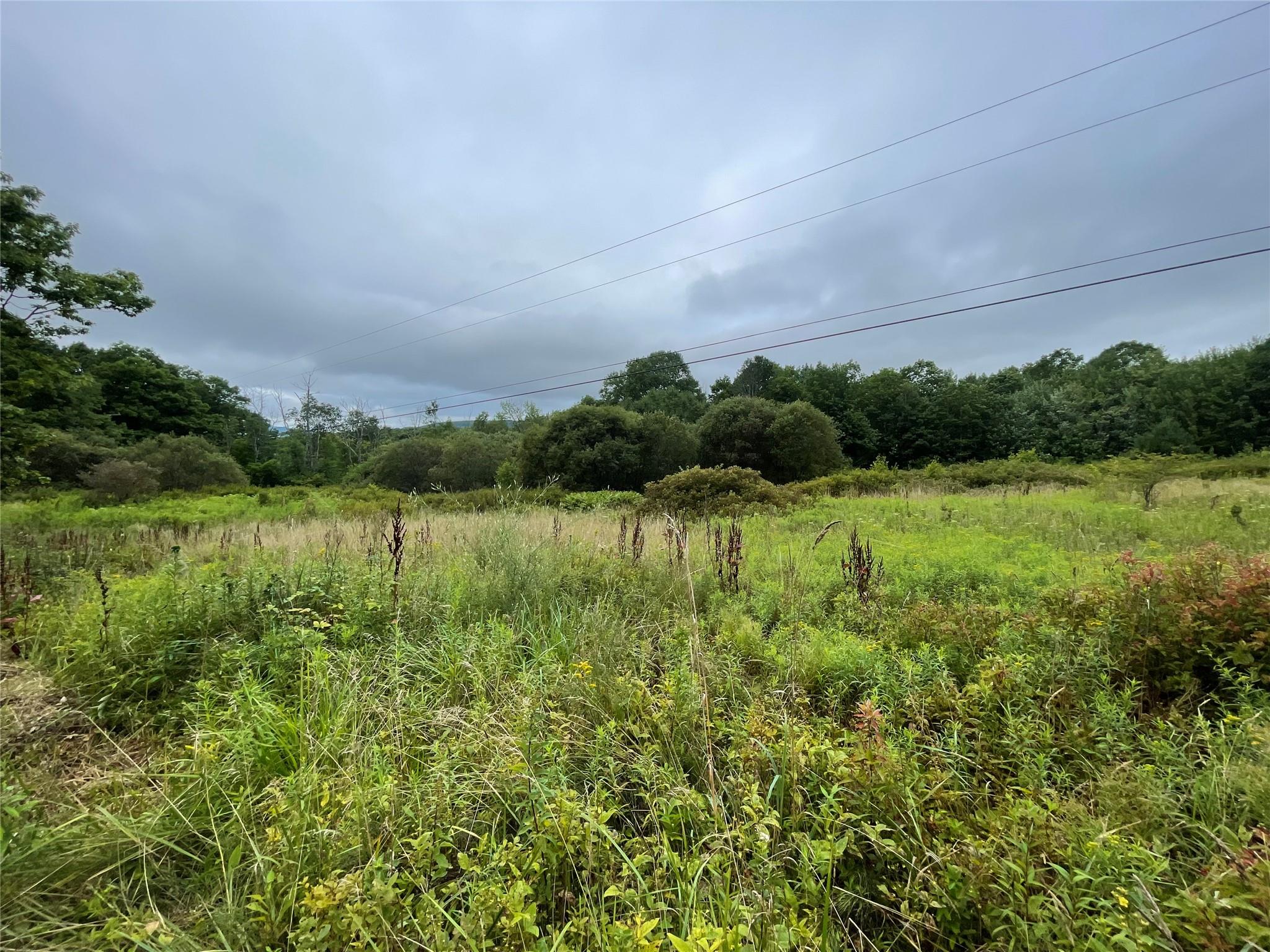 #4 photo, Basil Todd Road, Fleischmanns , NY 12430