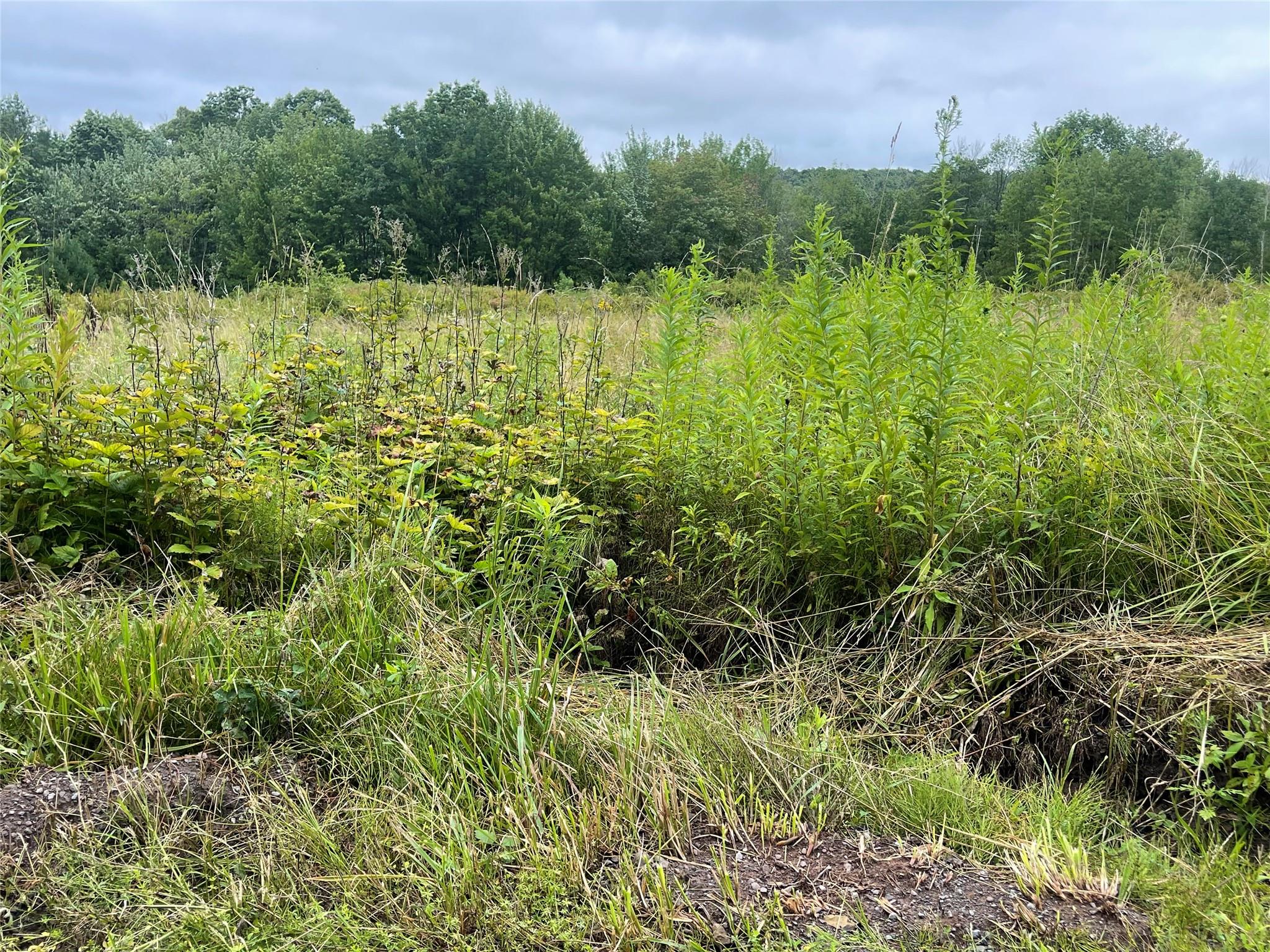 #7 photo, Basil Todd Road, Fleischmanns , NY 12430