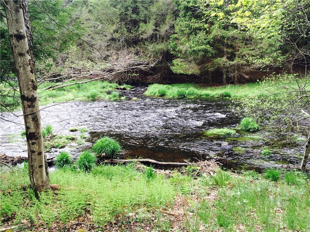 #2 photo, Lot 2 Chapin Trail, Bethel , NY 12720