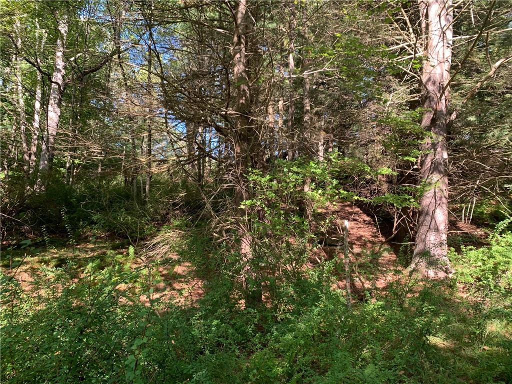 #5 photo, Lot 2 Chapin Trail, Bethel , NY 12720