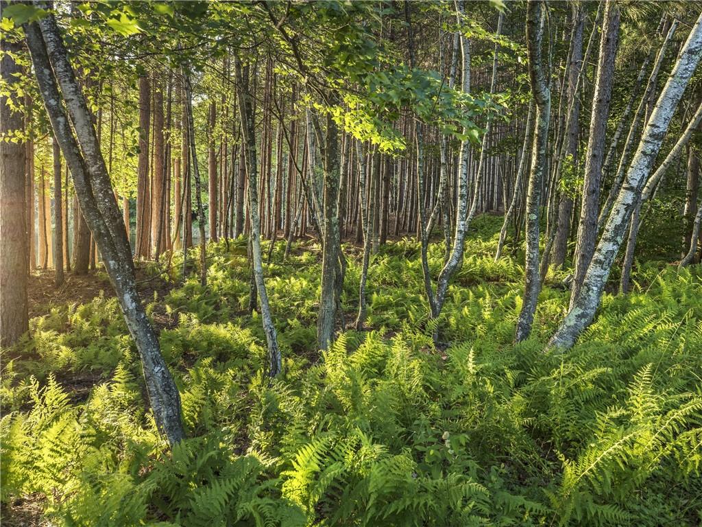 #8 photo, Lot 2 Chapin Trail, Bethel , NY 12720