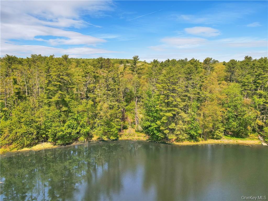 #15 photo, 32 River Road, Barryville , NY 12719