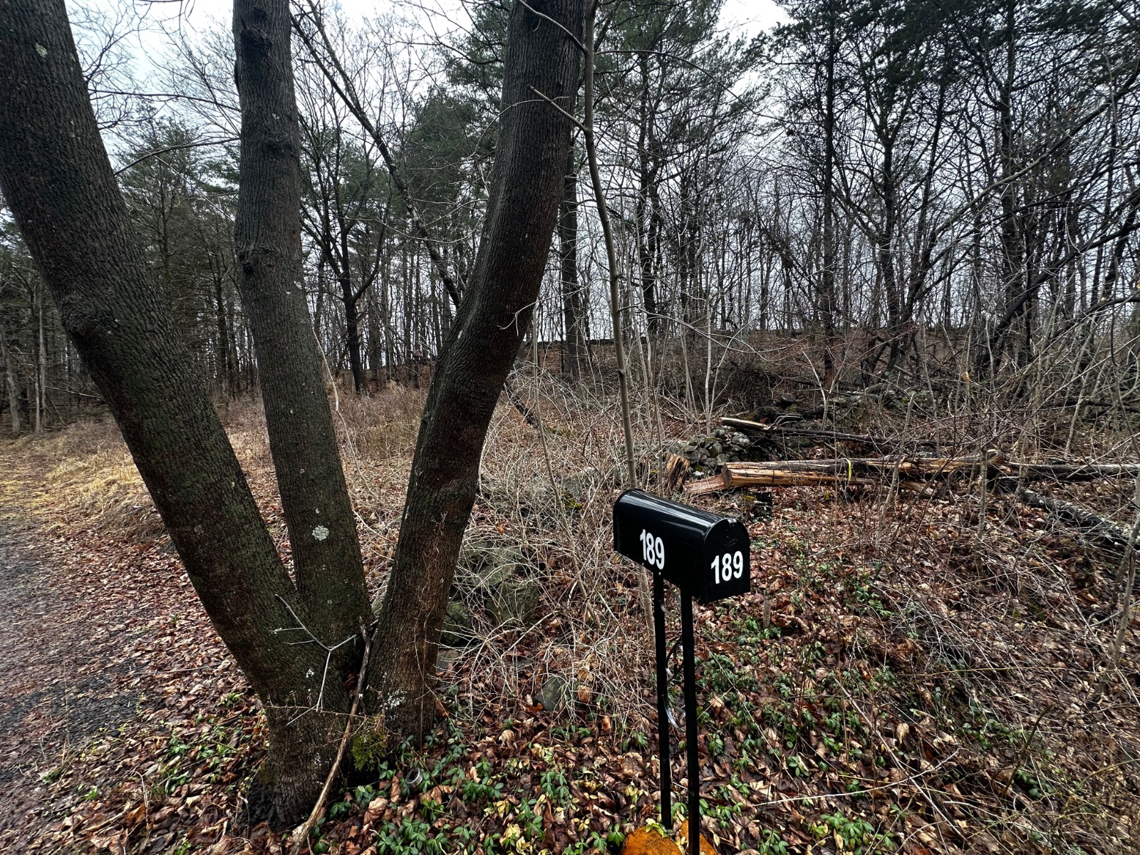 #14 photo, 189  County Route 26, Coxsackie , NY 12042