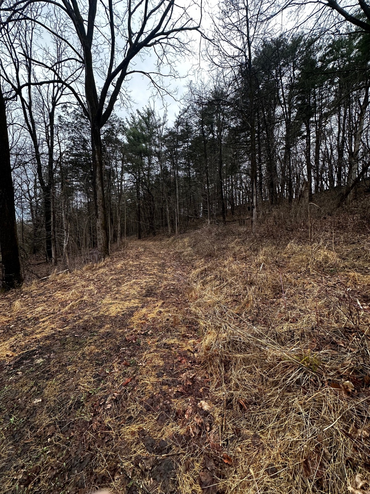 #20 photo, 189  County Route 26, Coxsackie , NY 12042